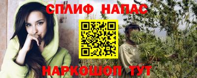 дмт Шелехов