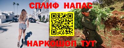 молекула духа Шебекино